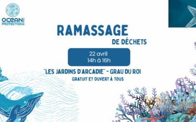 RAMASSAGE CITOYEN – 22 AVRIL 🐋