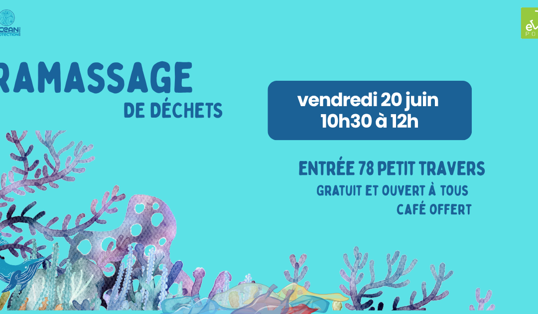 Ramassage du 20 juin – 10H30/12H