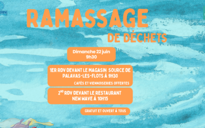 Ramassage du 22 juin – 9H30  et 10H15 – Palavas-Les-Flots