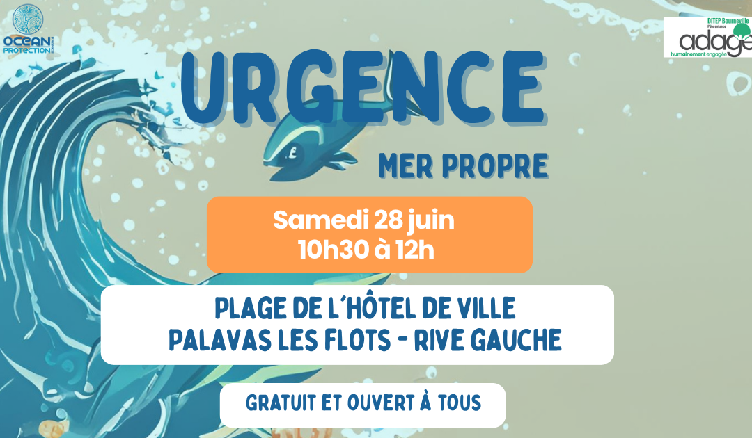 Ramassage du 28 juin