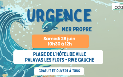 Ramassage du 28 juin
