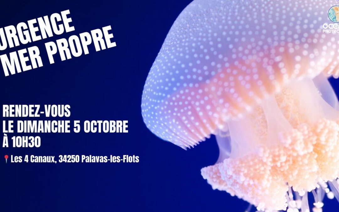 Ramassage du 5 octobre