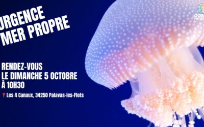 Ramassage du 5 octobre
