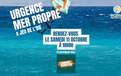 Wing Foil Event – Ramassage et jeu de l’oie