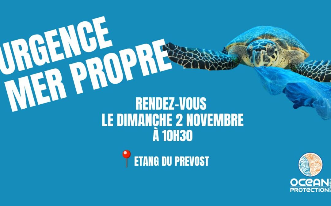 Ramassage du 2 novembre