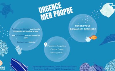 Ramassage du 7 décembre