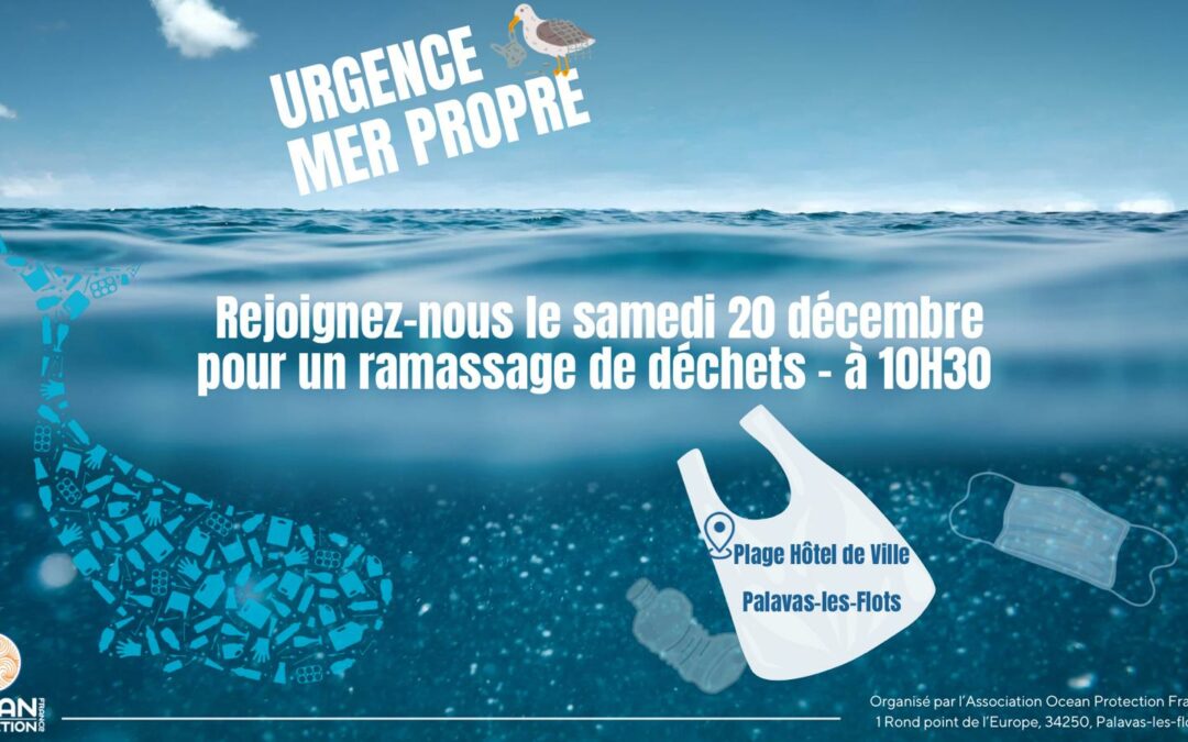 Ramassage du samedi 20 décembre