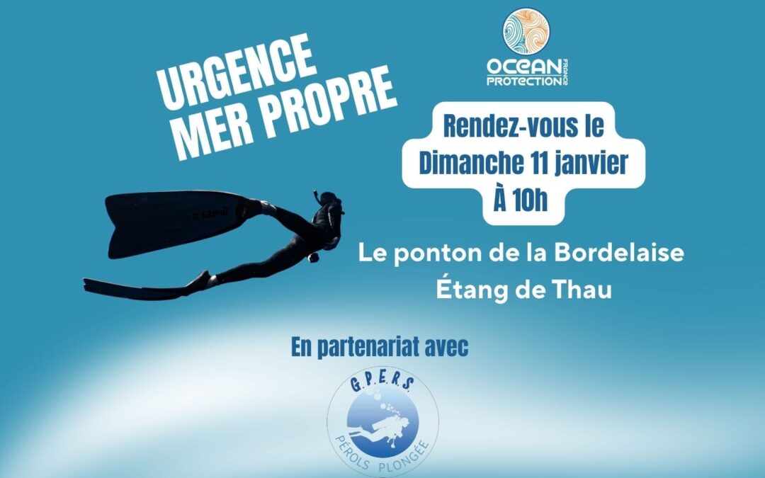 Opération Mer Propre du dimanche 11 janvier