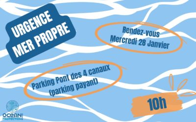 Ramassage du mercredi 28 janvier