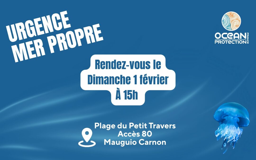 Ramassage du dimanche 1er février