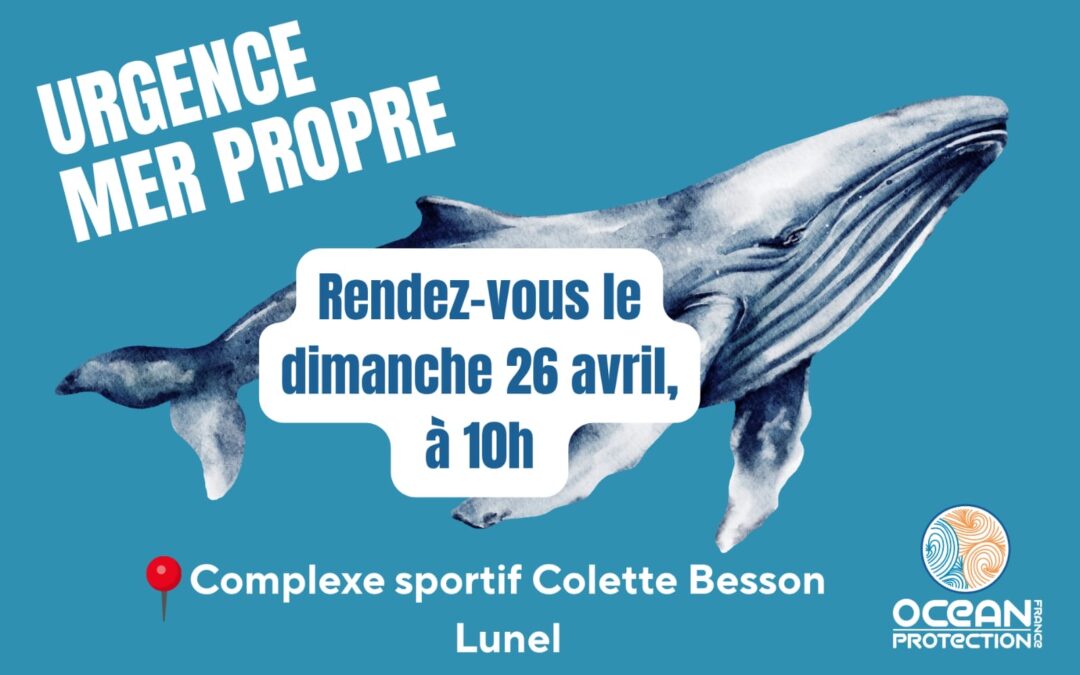 Ramassage du dimanche 26 avril