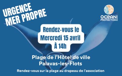 Ramassage du mercredi 15 avril