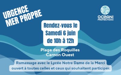 Ramassage du samedi 6 juin