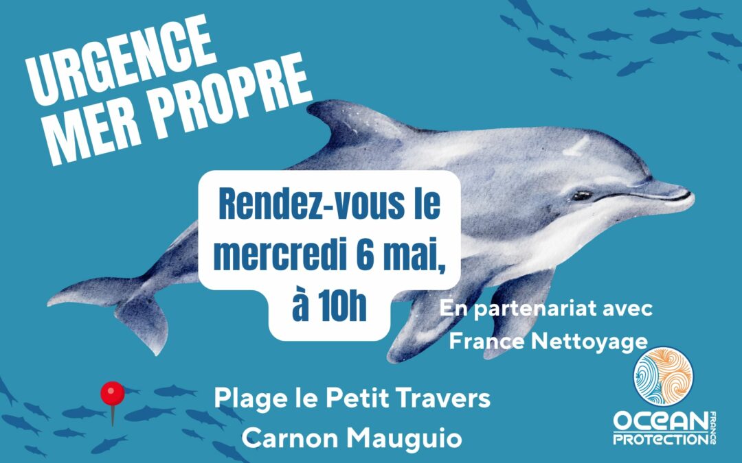 Ramassage du mercredi 6 mai