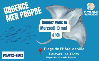 Ramassage du mercredi 13 mai
